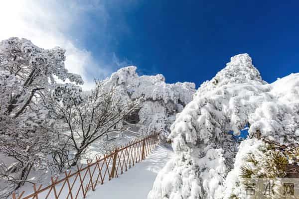 “冬至在头,冻破石头;冬至在尾,寒在三月”,今年冬天冷不冷?