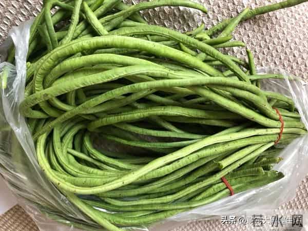 发现没？现在的人们，冬天囤白菜的人们日益减少了，原因很现实