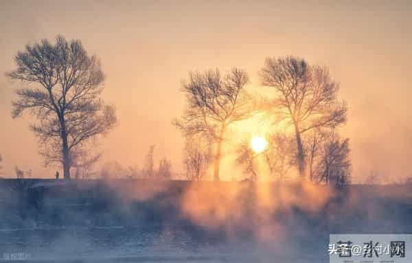 “白天冬至暖烘烘，晚上冬至冻死牛”，今年冬至几点？有啥说法？