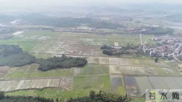 丰城5000亩废矿区变良田