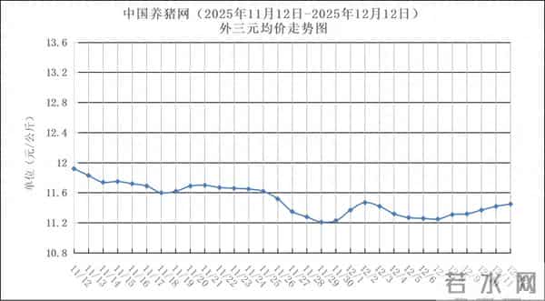 12月12日猪评:涨不停!多地猪价大幅上涨,猪价继续冲高?