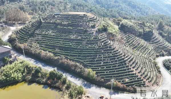 富阳这个网红村，游客车辆从山脚排到村里！