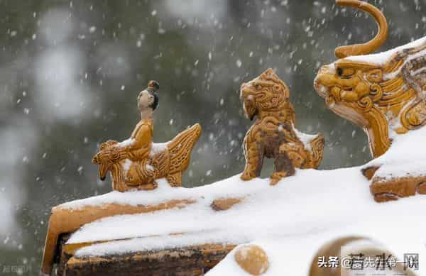 别犯忌讳！今日十月廿三，记得：1不傲、2不淋、3不开、4不闭