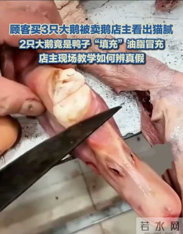 警惕！你买的“大鹅”可能不是鹅！揭秘市场新型“冒牌货”陷阱！