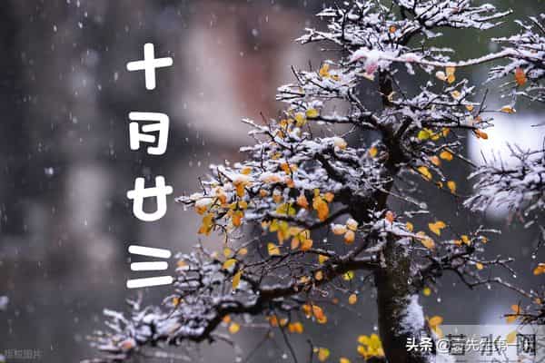 别犯忌讳！今日十月廿三，记得：1不傲、2不淋、3不开、4不闭