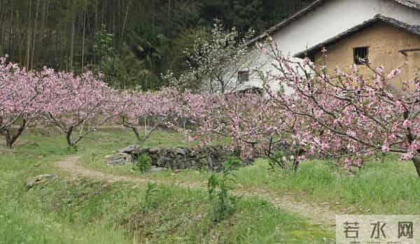 农村老人，当你伸手问儿女要钱，就知道有多难了