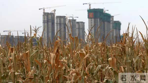 温铁军：三重矛盾叠加“三泡”危机，如何治标又治本？