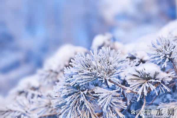 “冬雪多不多,就看十月廿三”,今日十月廿三,今冬降雪多吗?答案来了!