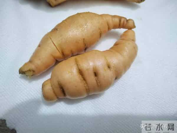 【乡村振兴信息网】孟州人在偃师种的生地“熟”了