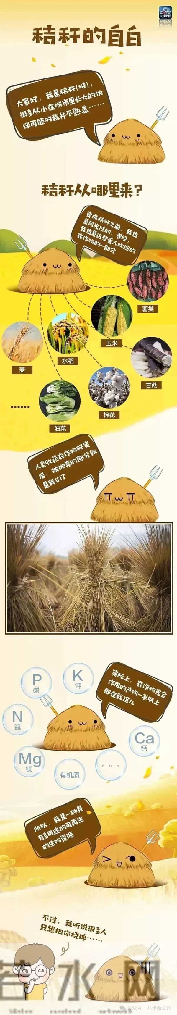 拒绝秸秆焚烧，守护碧水蓝天！