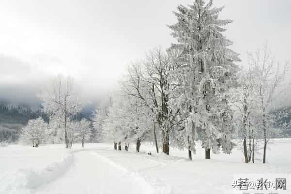 今冬数九时间表来了！从哪天开始入九？春节在几九？过年很冷吗？