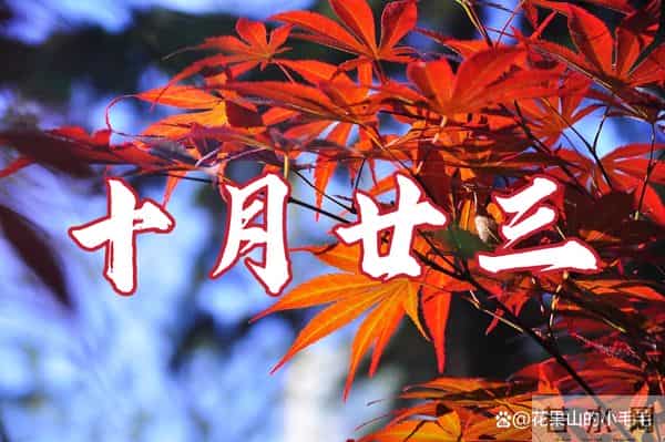 “不怕十月廿三落，就怕十月廿三晴”，明日十月廿三，有啥说法？农谚咋说