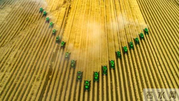 中央定调!未来五年农业这么干,件件关乎咱老百姓钱袋子和饭碗