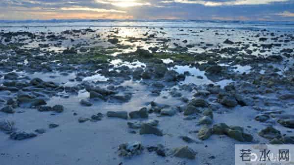 不要碰!广东这些地方已出现