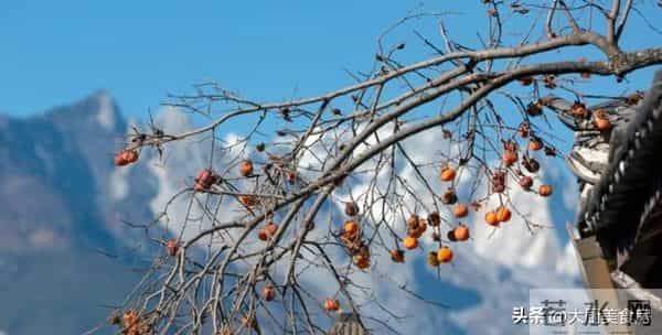 明日十月廿二,无论多忙,记得:1不走、2不回、3不问、4要搬