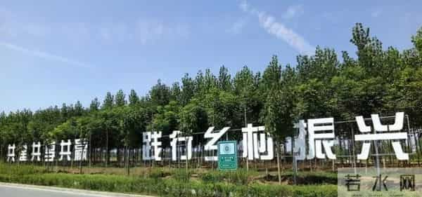 中央经济工作会议给农民端出政策套餐，养老增收成重点