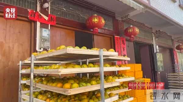 产地造假、年份速成、无视监管！总台《财经调查》曝光新会陈皮市场乱象