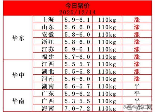 【今日猪价】12月14日 生猪价格继续反弹，十五个省份猪价上涨！