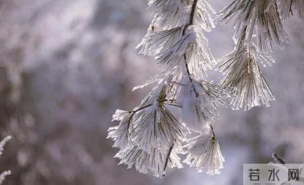 冬至入九已定,三九最冷在一月中、春节落在七九期、立春赶上六九头,保暖与出行这几点别忽视