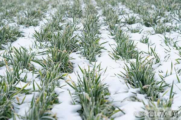 “不怕十月廿三落，就怕十月廿三晴”，明日十月廿三，有啥说法？农谚咋说