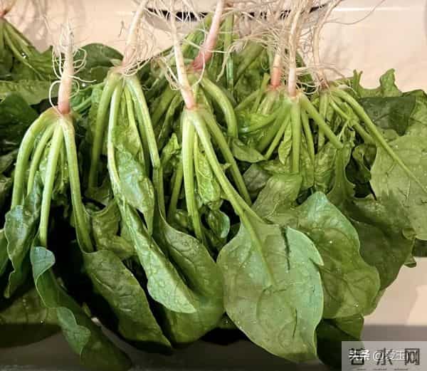 劝告:冬天,尽量不要买这5种蔬菜,看过就知道为什么!