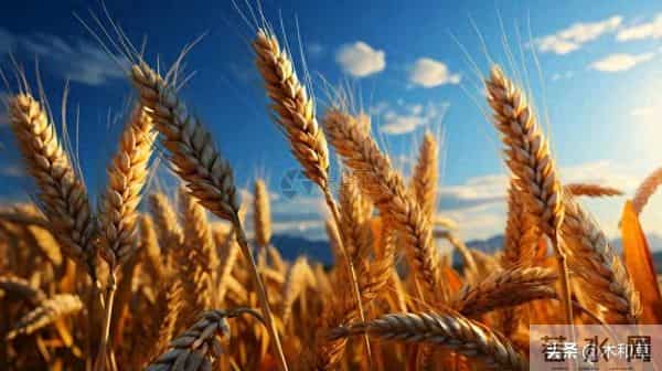 这是一个真实的故事故事发生在七八十年代偏僻小村庄《四十五》