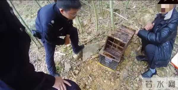 两派蜜蜂打起来了，伤亡惨重！民警直接上门……