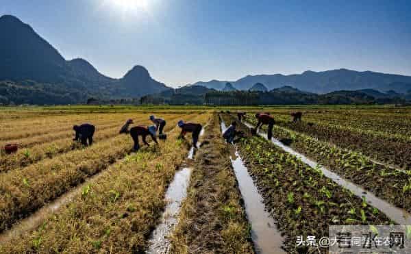 x镇x村x村民组农村土地二轮承包到期后再延长30年实施方案
