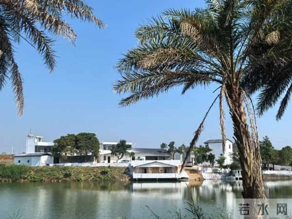 喜报！雷州调风这一民宿获评广东省银宿级民宿