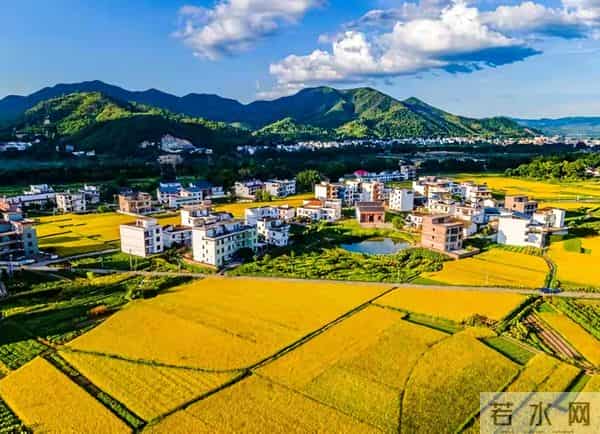 国家要给农业“立规矩”了！种地养鱼盖房子，以后都得按标准来？