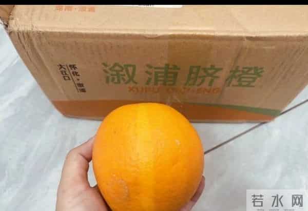 皮哥昨晚直播信息量大，沙拉曼做生意将实现，巴铁外婆计划恐泡汤