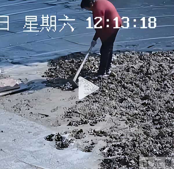 老太破坏水泥路后续:原因曝光,老太很委屈,村干部曝更多隐情