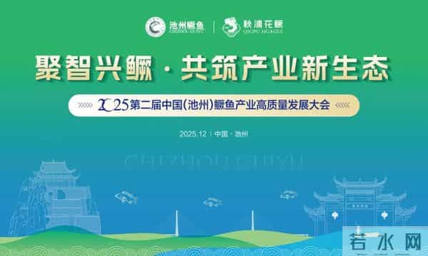 今天，池州迎来这场大会！