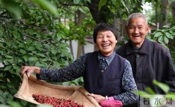 人老了，能不去农村养老，就别去，不信问问农村亲戚