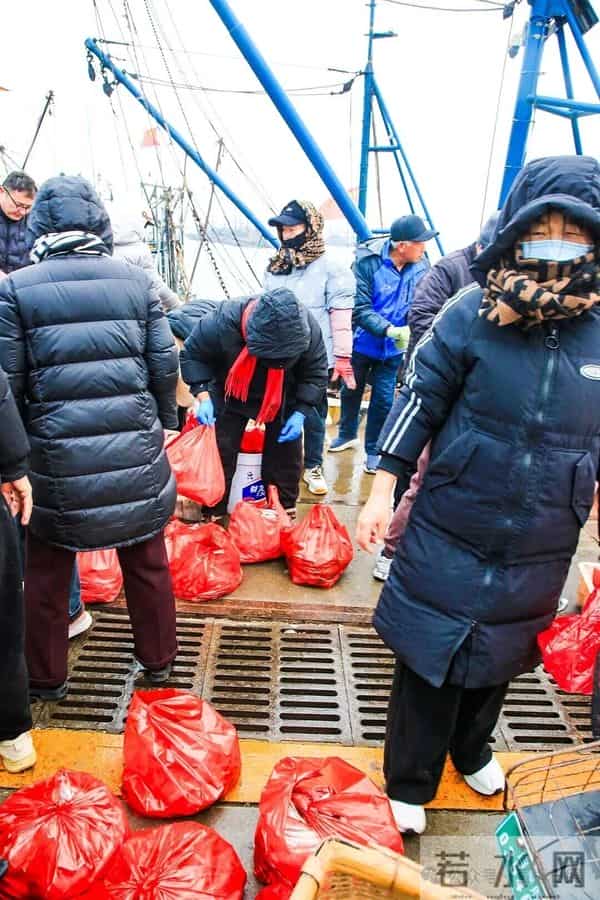 寒潮将至,渔港沸腾!今早,日照这里“鲜”货扎堆!这种鱼按筐买,4元一斤!