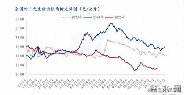 【今日猪价】12月14日 生猪价格继续反弹，十五个省份猪价上涨！