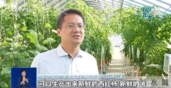 网传“反季节蔬菜吃了等于白吃”是真的吗？专家辟谣