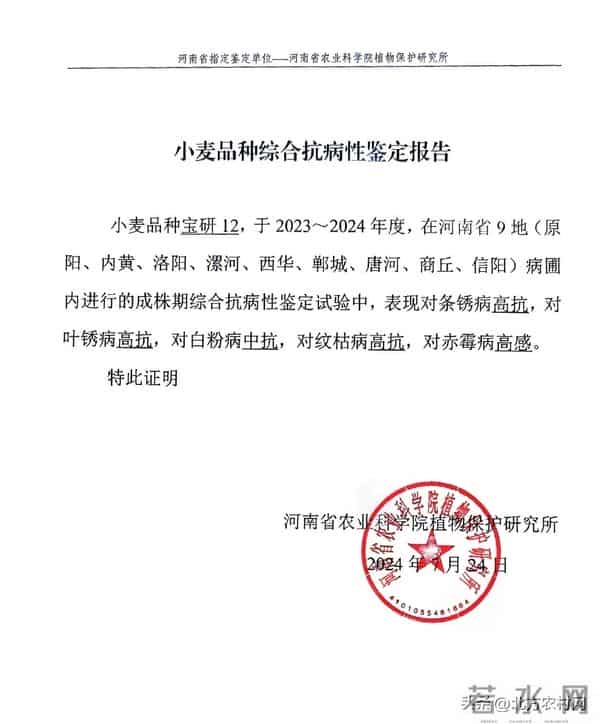 你一定要知道：不管小麦，不管玉米，都是“抗性为王”