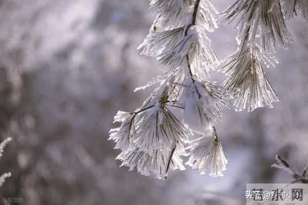 今冬数九时间表来了！从哪天开始入九？春节在几九？过年很冷吗？