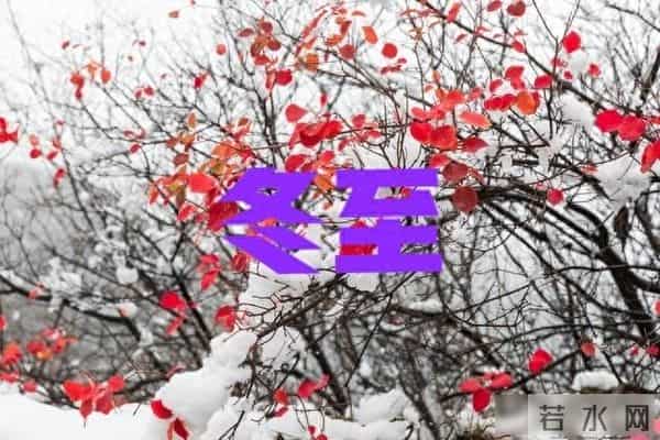 12月21号冬至,老话“冬至在午后,冷到三月三”,今年冬天冷到哭