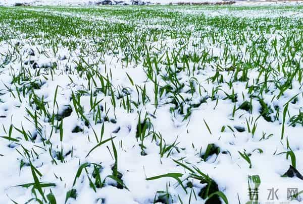 今日十月廿三，老话“十月廿三晴，农夫要发愁”，晴天有啥预兆？