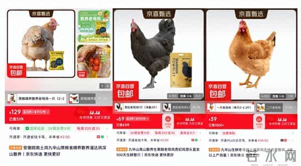 土鸡产品假货泛滥 京东京喜自营推出甄选皖南土鸡 同品质便宜15%