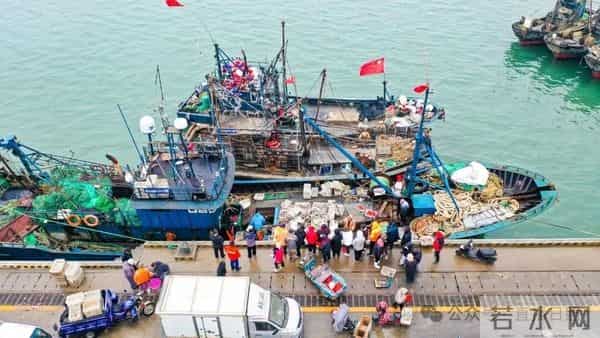 寒潮将至,渔港沸腾!今早,日照这里“鲜”货扎堆!这种鱼按筐买,4元一斤!