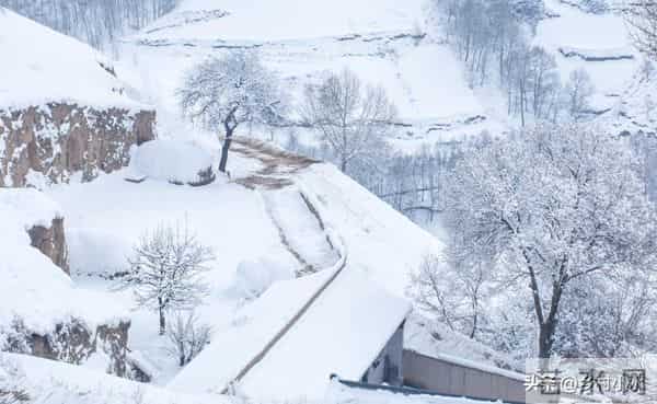 “冬至在头，冻死老牛；冬至在尾，二月很寒”，今年冬至在哪？