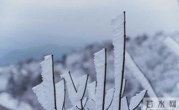 冬至入九已定,三九最冷在一月中、春节落在七九期、立春赶上六九头,保暖与出行这几点别忽视