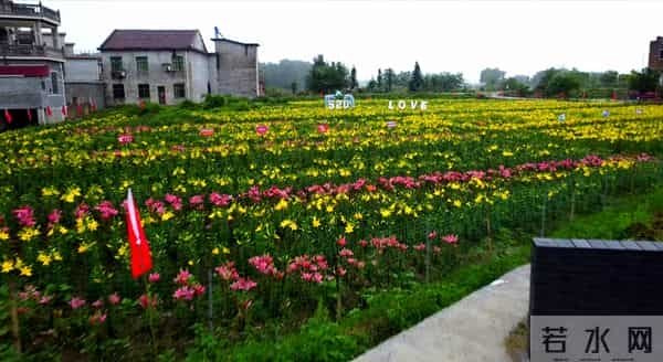 江西人用真金白银堆出的全国第一，证明江西是个“民富”省份