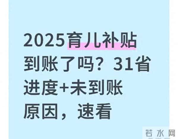 育儿补贴咋还没到？31省进度+未到账咋解决