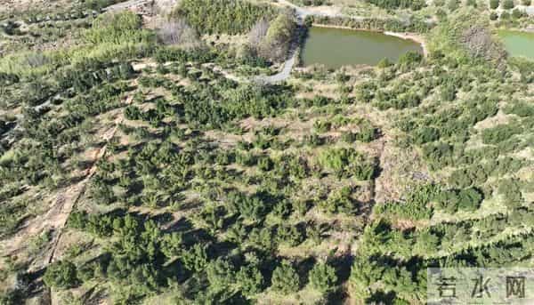 富阳这个网红村，游客车辆从山脚排到村里！