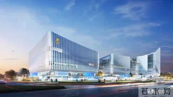 冬储白菜成回忆!全国果蔬随便挑,菜篮子藏着大秘密