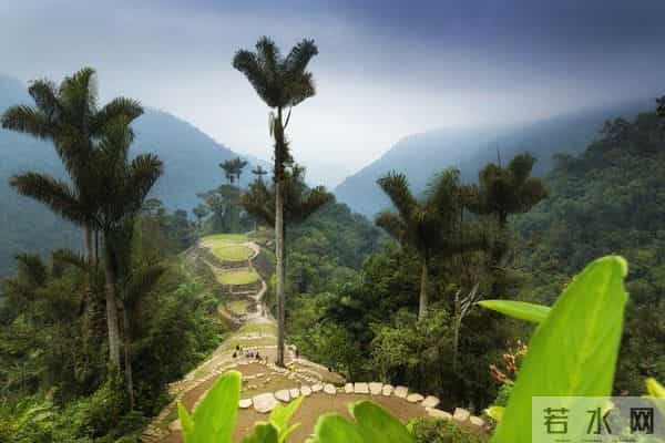 7百万公顷森林去哪了？阿根廷农民泪别电锯，靠美洲豹吃上饭！